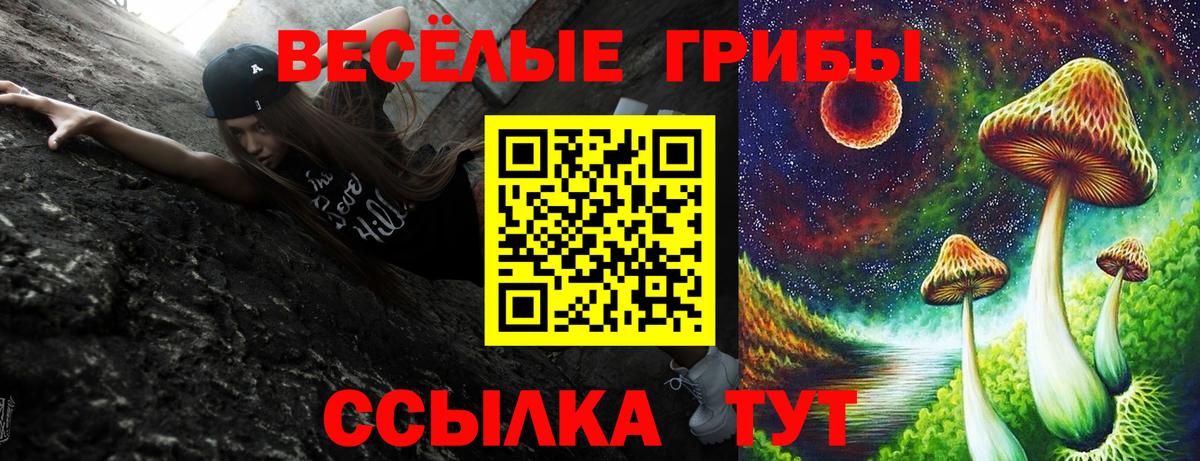 Псилоцибиновые грибы GOLDEN TEACHER  Вход с VPN  Будённовск 