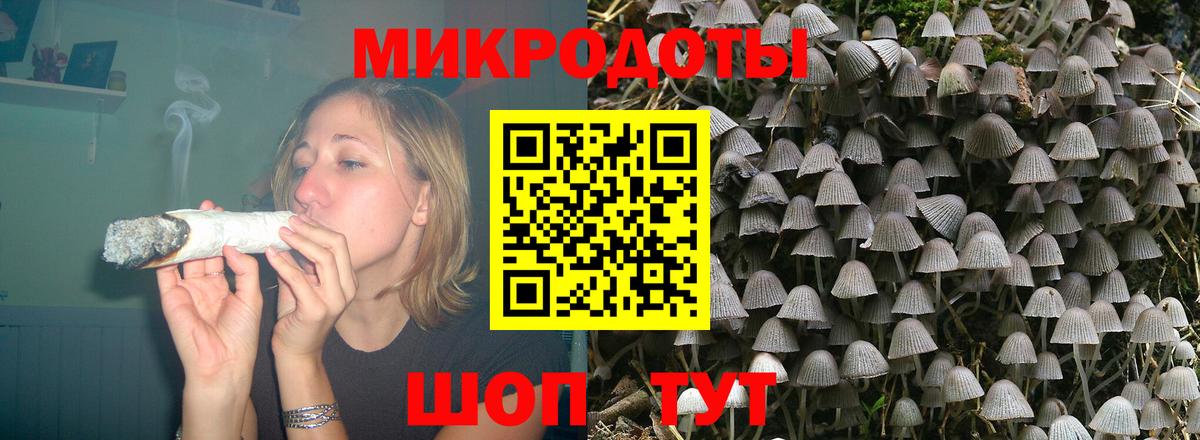 Псилоцибиновые грибы Cubensis Будённовск